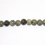 Algae Jasper 4mm Round