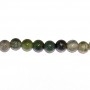 Moss Agate 4mm Round