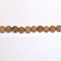 Picture Jasper 4mm Round