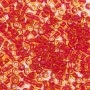 Wholesale 6/0 Seed Beads