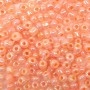 Wholesale 6/0 Seed Beads