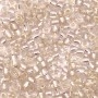 Wholesale 6/0 Seed Beads