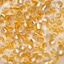 Popcorn N Butter S/L Two Tone