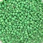 11/0 Green Seed Beads Bulk