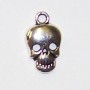 Pewter Skull Charm