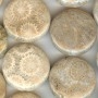Petoskey Type Disc