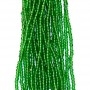 Trans Green